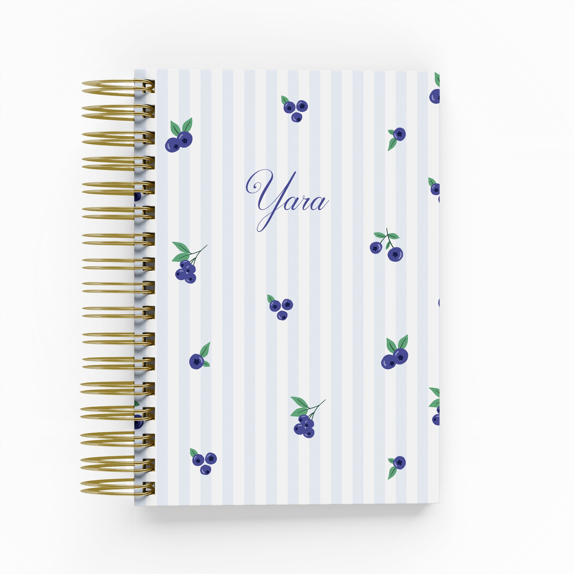 Blueberry Daily Planner