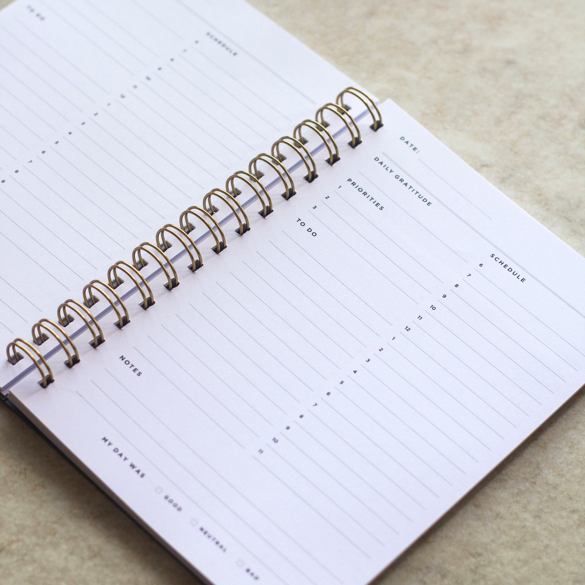 Cedar Green Undated Daily Planner