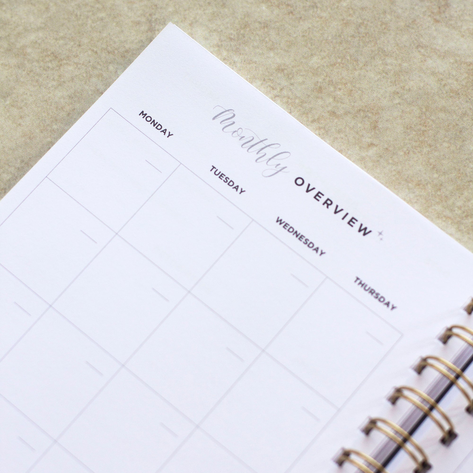 Shaffe Cup Nude Undated Daily Planner