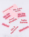 Anti-Social Lebanese Pink Sticker Pack