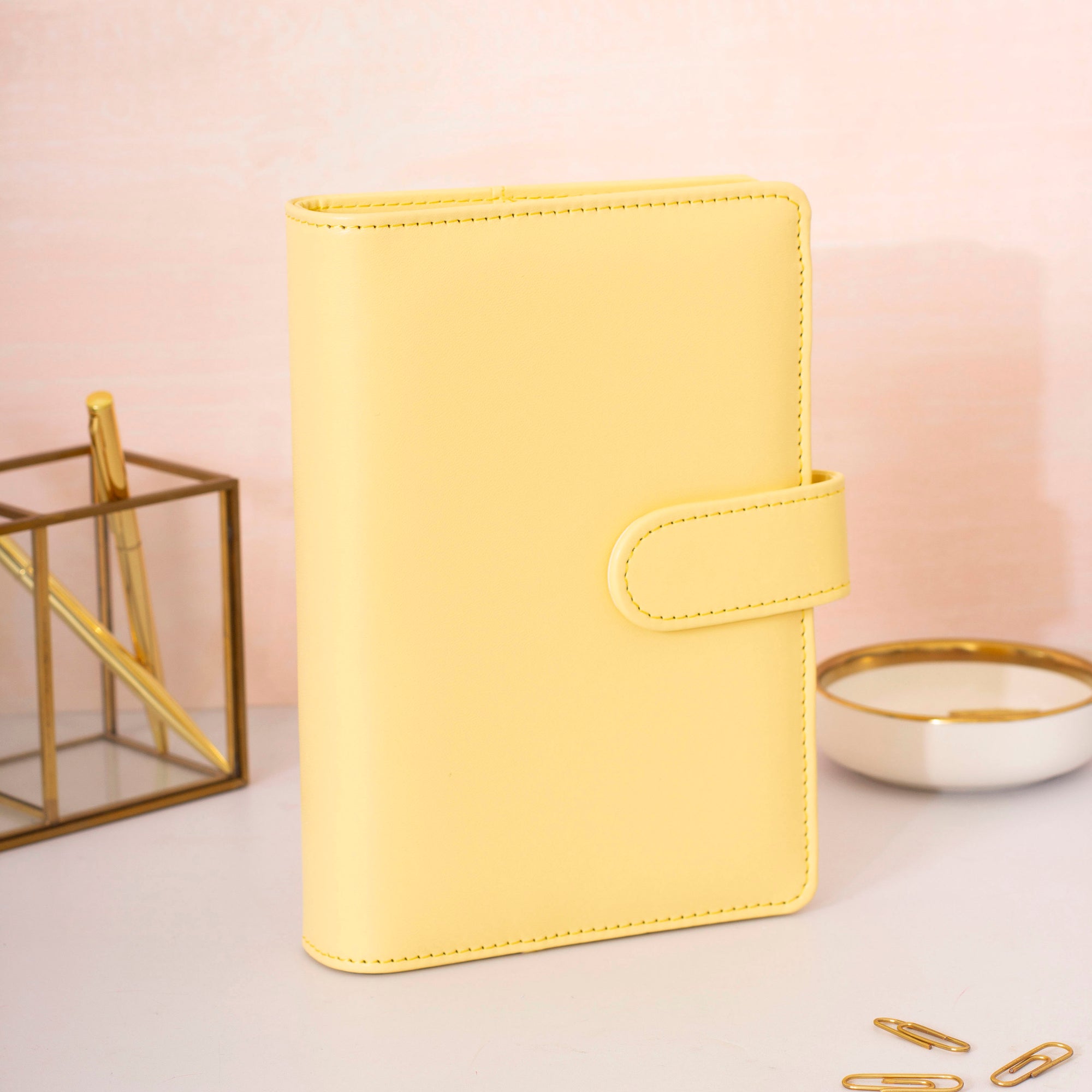 Money Budget Binder (All Items Included)