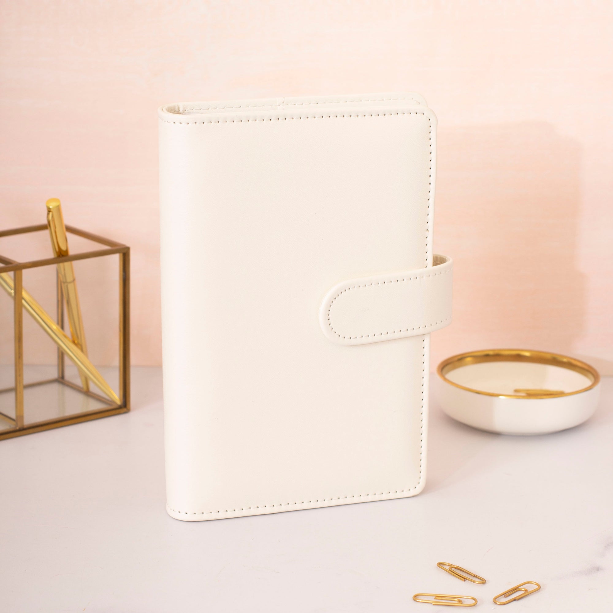 Money Budget Binder (All Items Included)