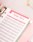 Money Budget Binder (All Items Included)