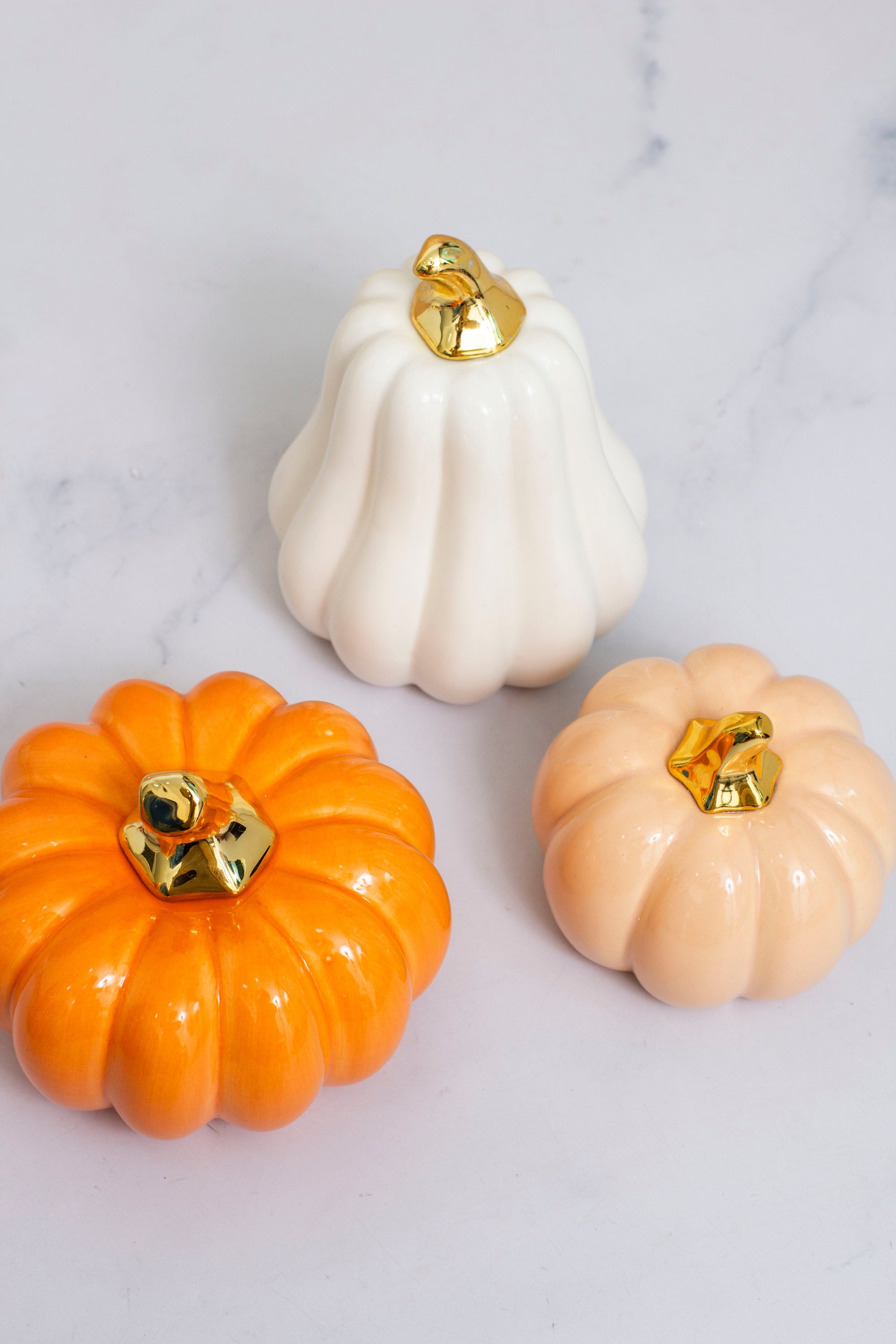 Fall Collection