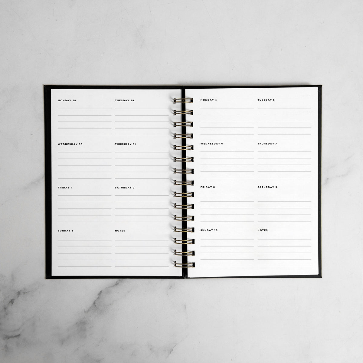 She Believed In Them First Weekly Planner