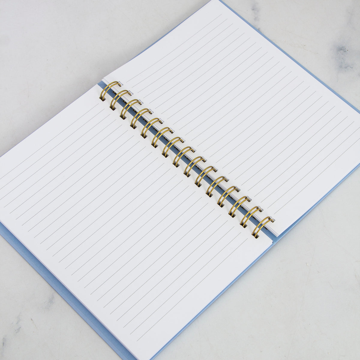 Old Money Lined Notebook