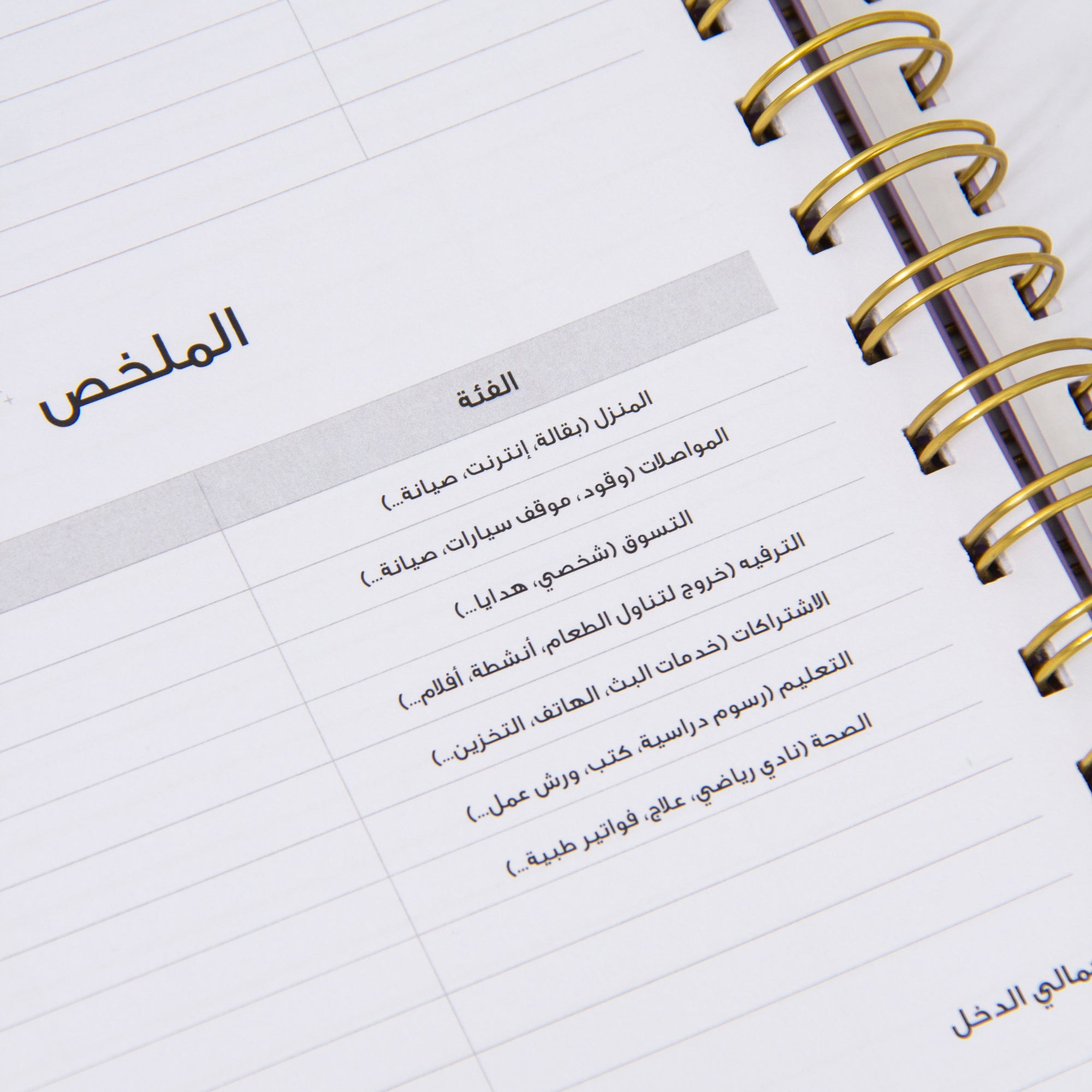 مخطط مصاريف