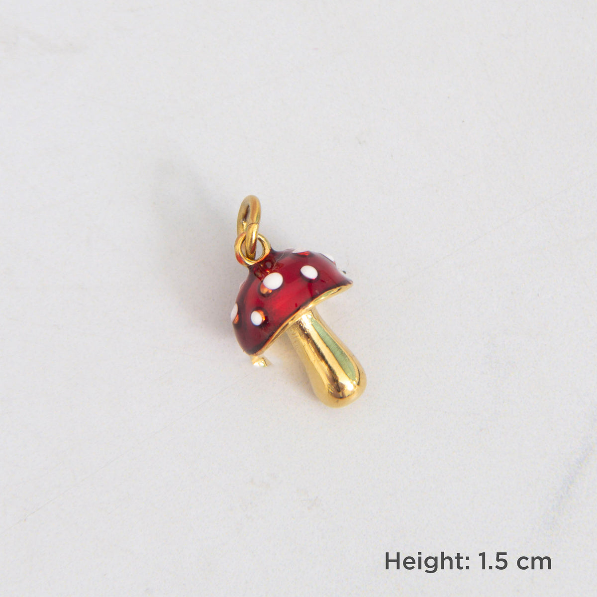 Notebook Charms