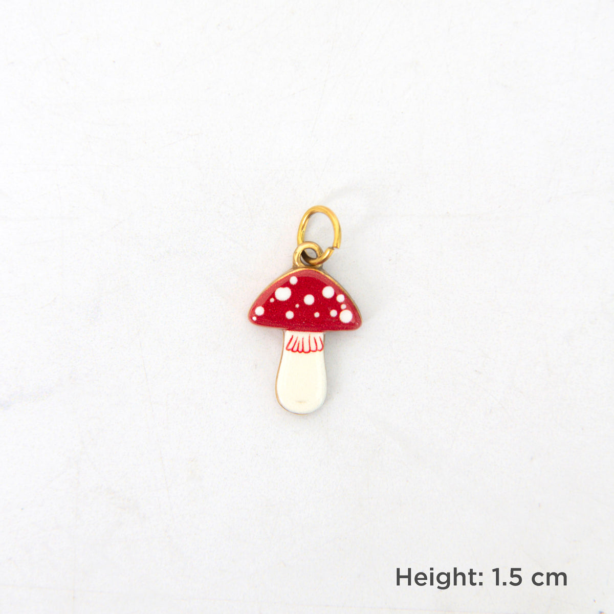 Notebook Charms